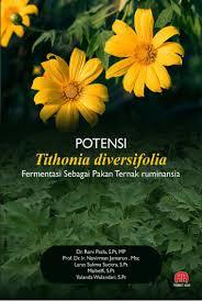 Potensi Tithonia Diversifolia Fermentasi Sebagai Pakan Ternak Ruminansia