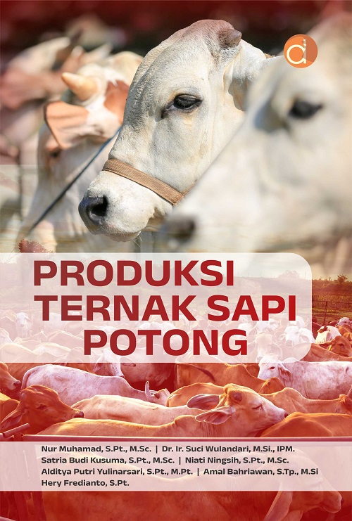 Produksi ternak sapi potong
